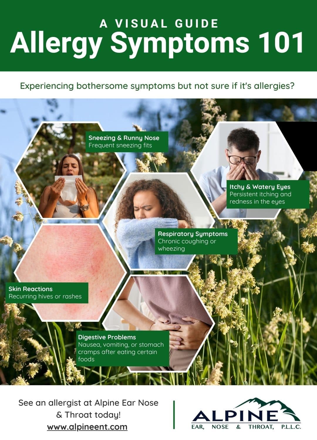 Infographic about symptoms of allergies