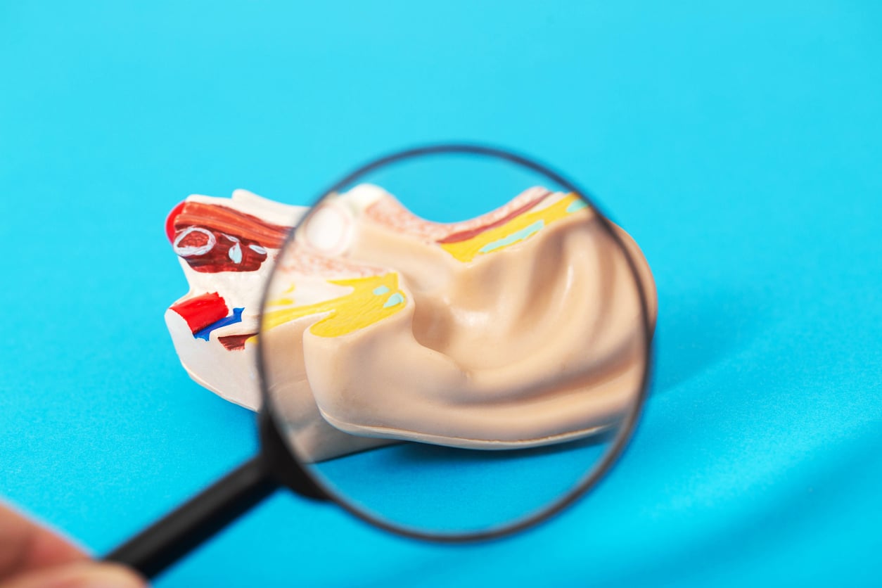 Medical ear mockup on a blue background under a magnifying glass. 
